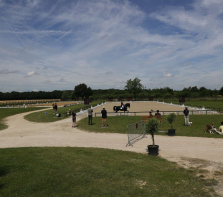 concours-de-dressage-2019-carlo-206