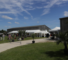 concours-de-dressage-2019-carlo-207