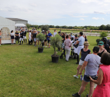 concours-de-dressage-2019-carlo-257