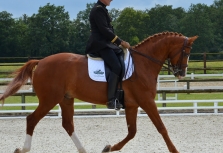 philippe-limousin