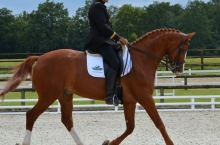 philippe-limousin